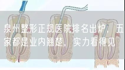泉州整形正规医院排名出炉，五家都是业内翘楚，实力看得见