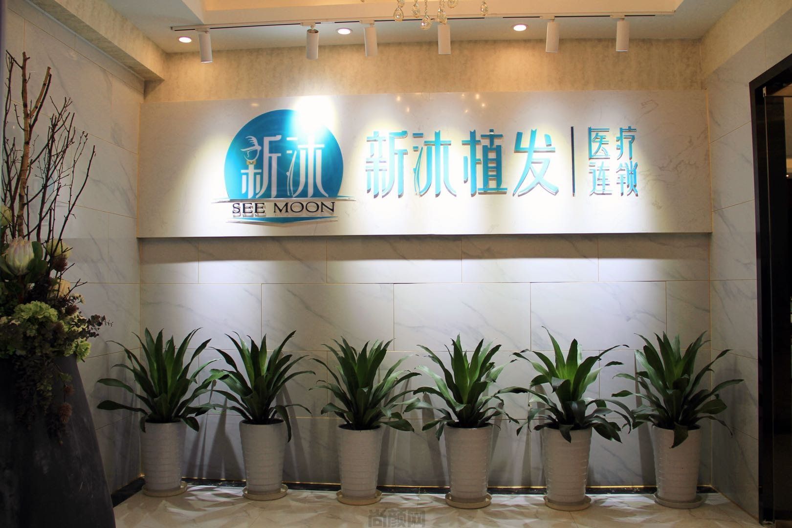 重庆植发医院排名前五公布!正规医院排名|新沐、碧莲盛、新生等上榜！(图1)