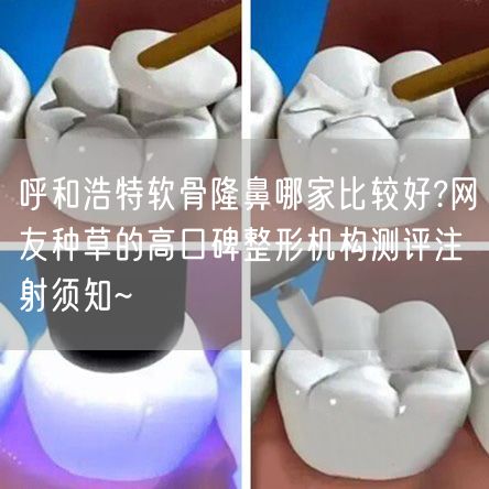 呼和浩特软骨隆鼻哪家比较好?网友种草的高口碑整形机构测评注射须知~