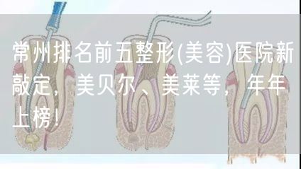 常州排名前五整形(美容)医院新敲定，美贝尔、美莱等，年年上榜！