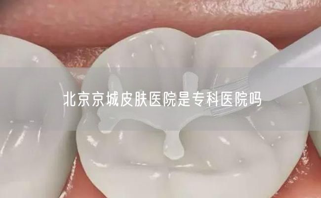北京京城皮肤医院是专科医院吗