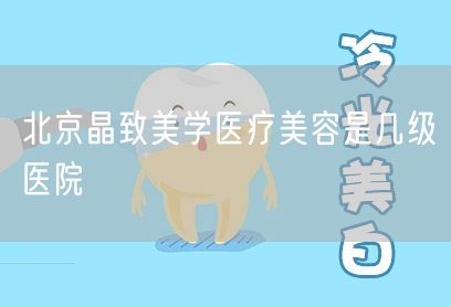北京晶致美学医疗美容是几级医院(图1)