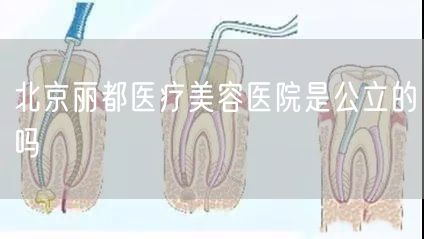 北京丽都医疗美容医院是公立的吗