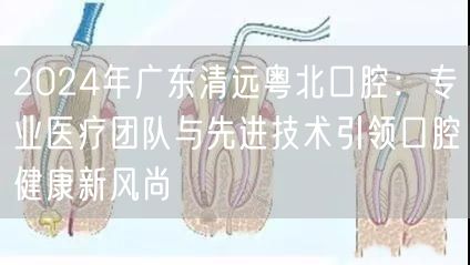 2024年广东清远粤北口腔：专业医疗团队与先进技术引领口腔健康新风尚