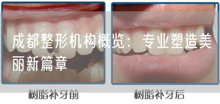 成都整形机构概览：专业塑造美丽新篇章
