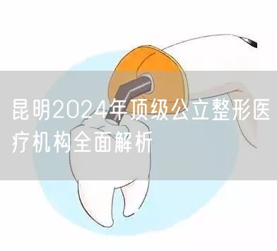 昆明2024年顶级公立整形医疗机构全面解析