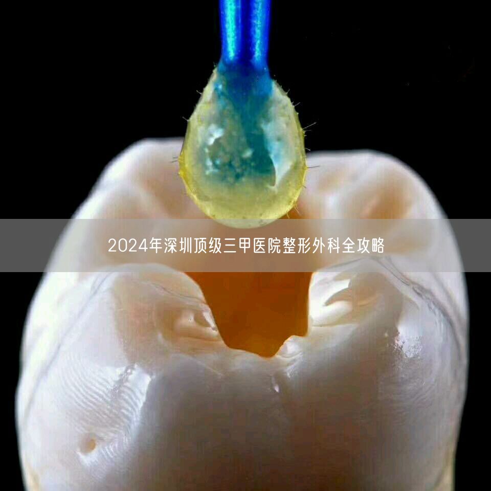 2024年深圳顶级三甲医院整形外科全攻略