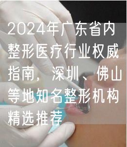2024年广东省内整形医疗行业权威指南，深圳、佛山等地知名整形机构精选推荐