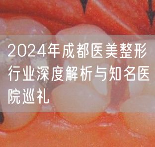 2024年成都医美整形行业深度解析与知名医院巡礼