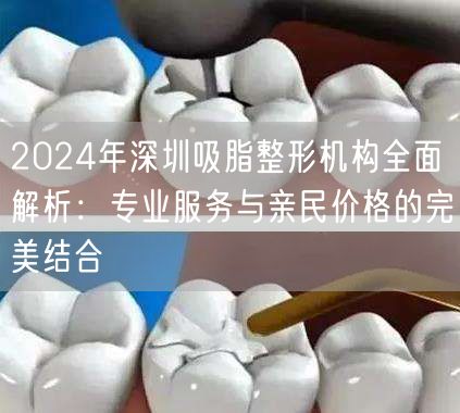 2024年深圳吸脂整形机构全面解析：专业服务与亲民价格的完美结合