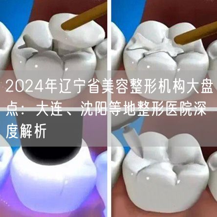 2024年辽宁省美容整形机构大盘点：大连、沈阳等地整形医院深度解析