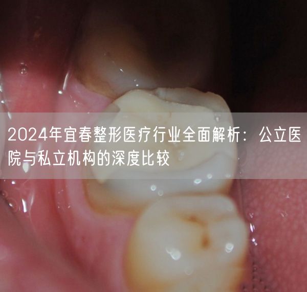 2024年宜春整形医疗行业全面解析：公立医院与私立机构的深度比较