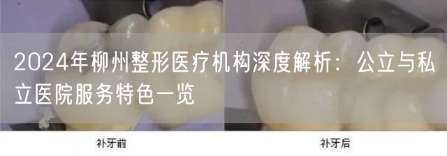 2024年柳州整形医疗机构深度解析：公立与私立医院