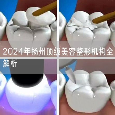 2024年扬州顶级美容整形机构全解析