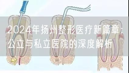 2024年扬州整形医疗新篇章：公立与私立医院的深度解析