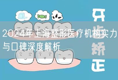 2024年上海整形医疗机构实力与口碑深度解析