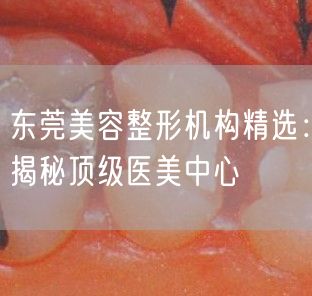 东莞美容整形机构精选：揭秘顶级医美中心
