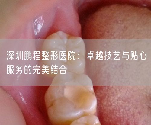 深圳鹏程整形医院：卓越技艺与贴心服务的完美结合