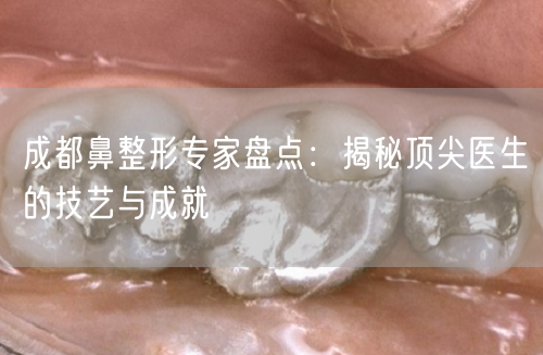 成都鼻整形专家盘点：揭秘顶尖医生的技艺与成就