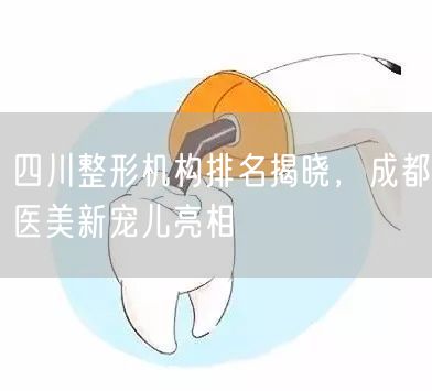 四川整形机构排名揭晓，成都医美新宠儿亮相