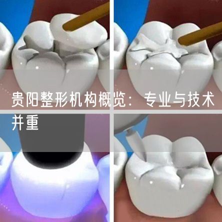 贵阳整形机构概览：专业与技术并重