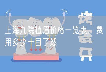 上海九院植眉价格一览表，费用多少一目了然