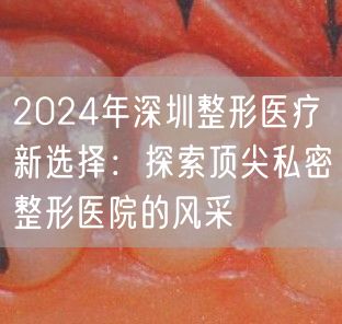 2024年深圳整形医疗新选择：探索顶尖私密整形医院的风采