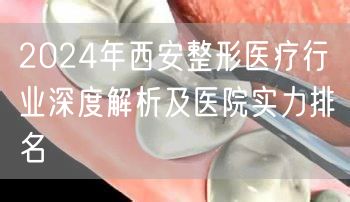 2024年西安整形医疗行业深度解析及医院实力排名
