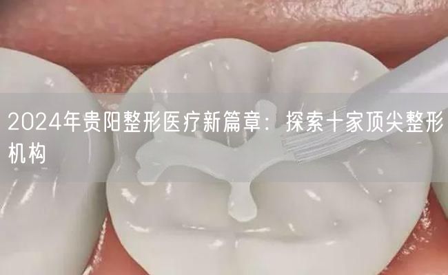 2024年贵阳整形医疗新篇章：探索十家顶尖整形机构