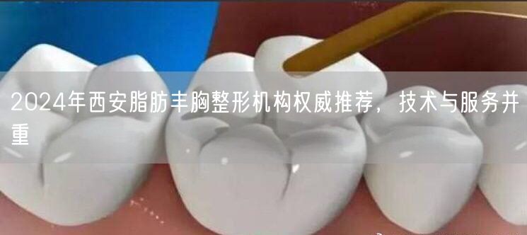 2024年西安脂肪丰胸整形机构权威推荐，技术与服务并重