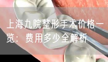 上海九院整形手术价格一览：费用多少全解析