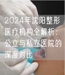 2024年沈阳整形医疗机构全解析：公立与私立医院的深度对比