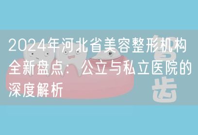 2024年河北省美容整形机构全新盘点：公立与私立医院的深度解析