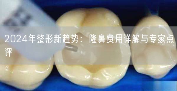 2024年整形新趋势：隆鼻费用详解与专家点评