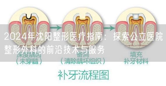 2024年沈阳整形医疗指南：探索公立医院整形外科的前沿技术与服务