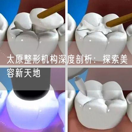 太原整形机构深度剖析：探索美容新天地