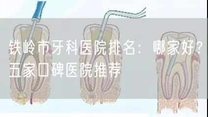 铁岭市牙科医院排名：哪家好？五家口碑医院推荐