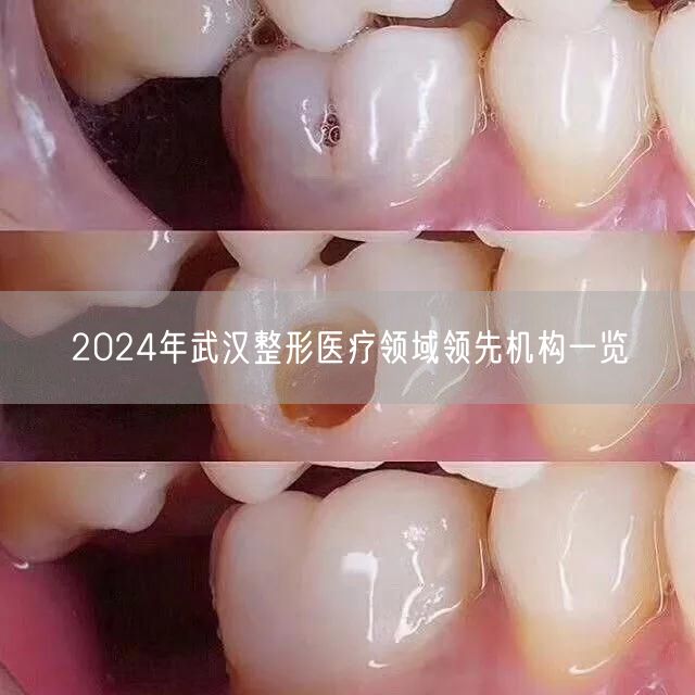 2024年武汉整形医疗领域领先机构一览
