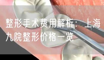 整形手术费用解析：上海九院整形价格一览