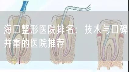 海口整形医院排名：技术与口碑并重的医院推荐