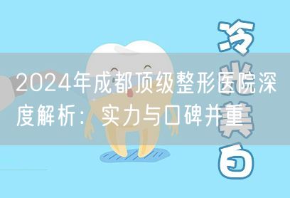 2024年成都顶级整形医院深度解析：实力与口碑并重