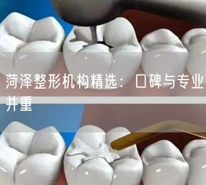 菏泽整形机构精选：口碑与专业并重