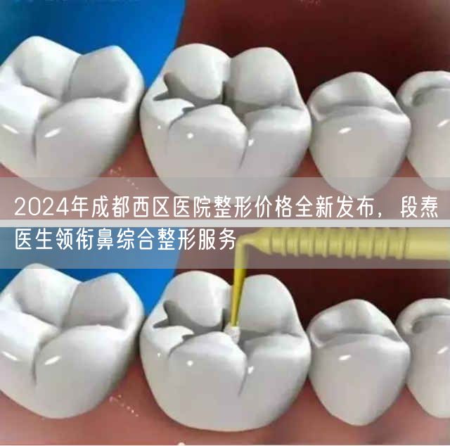 2024年成都西区医院整形价格全新发布，段焘医生领衔鼻综合整形服务