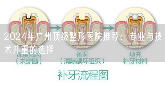 2024年广州顶级整形医院推荐：专业与技术并重的选择