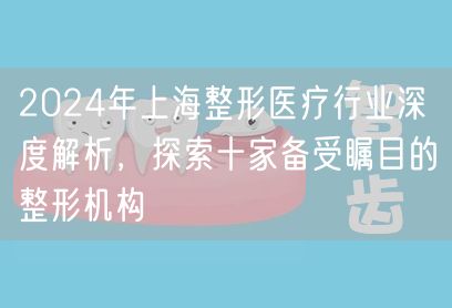 2024年上海整形医疗行业深度解析，探索十家备受瞩目的整形机构