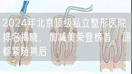 2024年北京顶级私立整形医院排名揭晓，加减美荣登榜首，丽都紧随其后