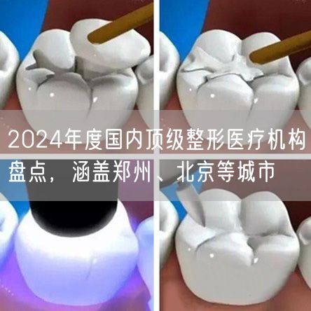2024年度国内顶级整形医疗机构盘点，涵盖郑州、北京等城市