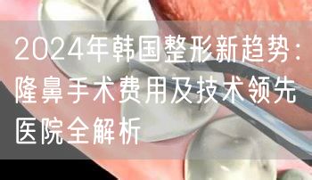 2024年韩国整形新趋势：隆鼻手术费用及技术领先医院全解析