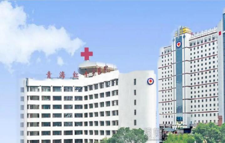 青海红十字医院整形美容科价格一览及服务体验(图2)