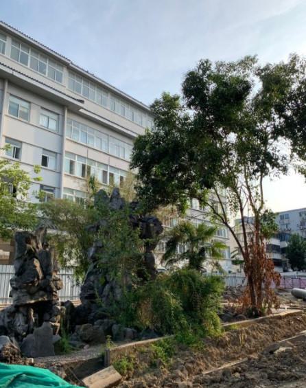 苏州市吴中区甪直人民医院口腔科技术与费用价格